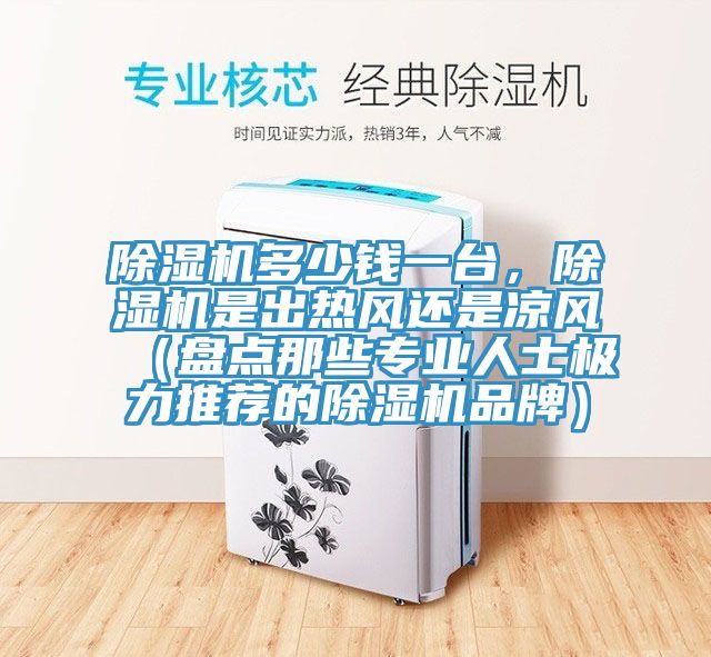 除濕機(jī)多少錢一臺(tái)，除濕機(jī)是出熱風(fēng)還是涼風(fēng)（盤點(diǎn)那些專業(yè)人士極力推薦的除濕機(jī)品牌）