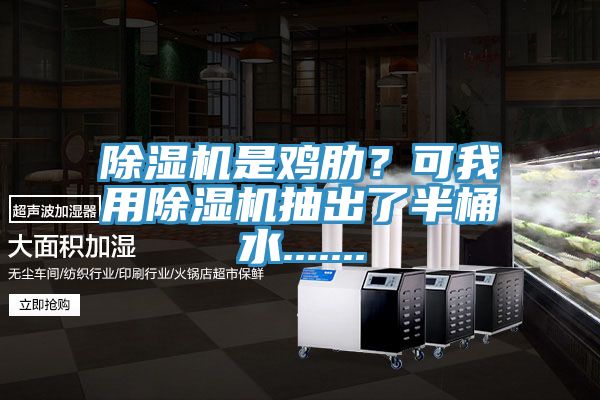 除濕機(jī)是雞肋？可我用除濕機(jī)抽出了半桶水.......