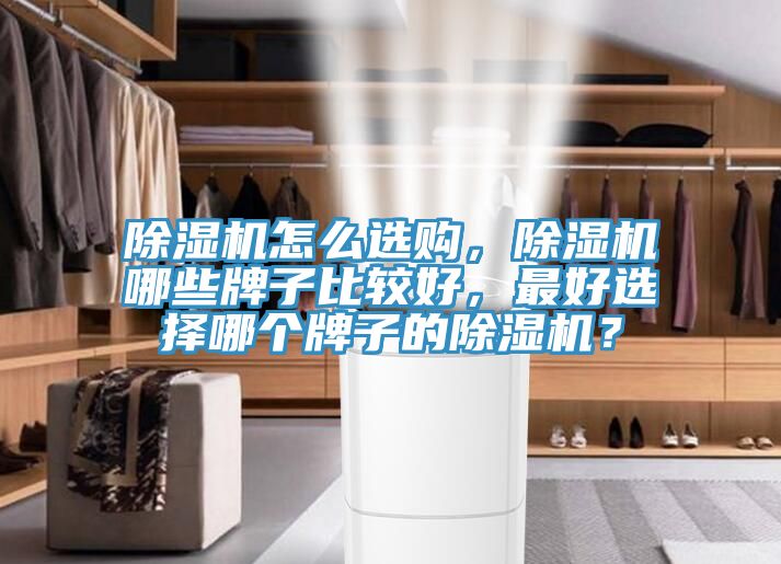 除濕機怎么選購，除濕機哪些牌子比較好，最好選擇哪個牌子的除濕機？