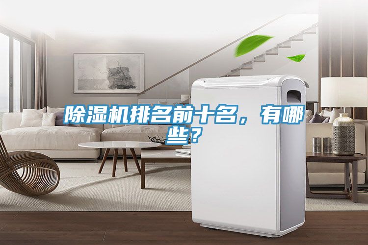 除濕機(jī)排名前十名，有哪些？