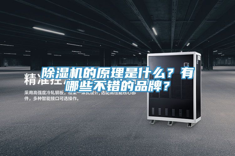 除濕機(jī)的原理是什么？有哪些不錯的品牌？