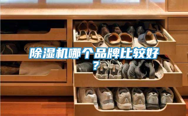 除濕機哪個品牌比較好？