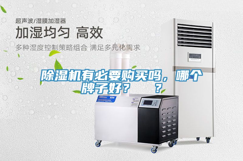 除濕機(jī)有必要購買嗎，哪個(gè)牌子好？  ？