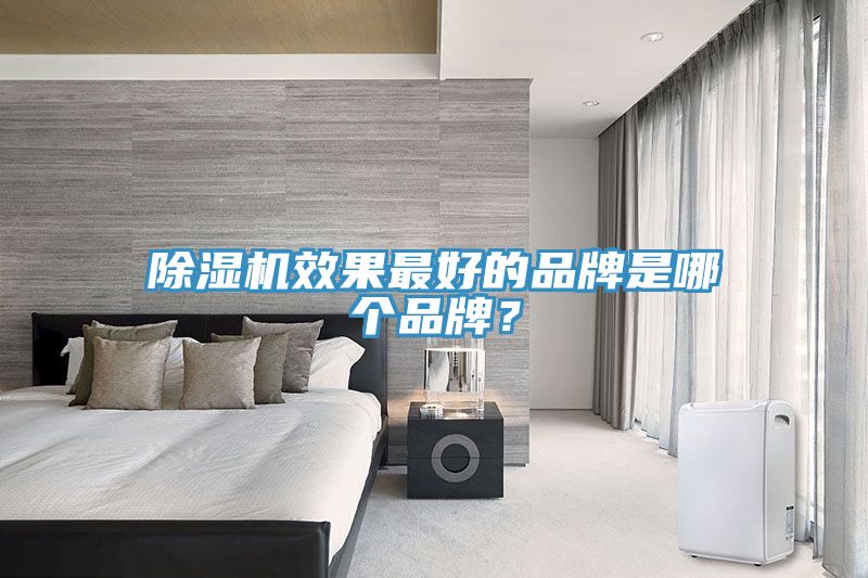 除濕機效果最好的品牌是哪個品牌？