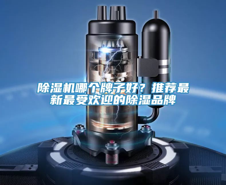 除濕機(jī)哪個牌子好？推薦最新最受歡迎的除濕品牌
