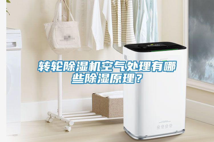 轉(zhuǎn)輪除濕機空氣處理有哪些除濕原理？