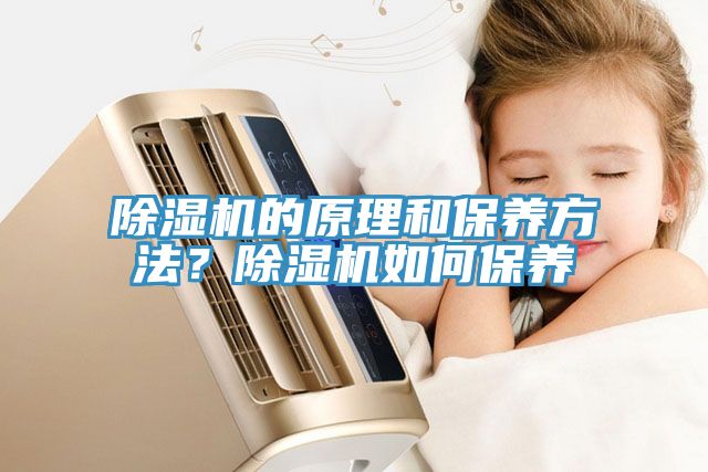 除濕機(jī)的原理和保養(yǎng)方法？除濕機(jī)如何保養(yǎng)