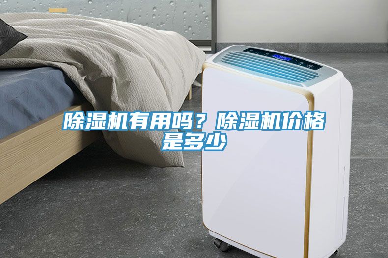 除濕機有用嗎？除濕機價格是多少