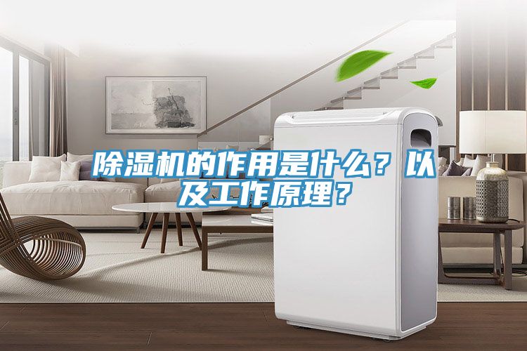 除濕機(jī)的作用是什么？以及工作原理？