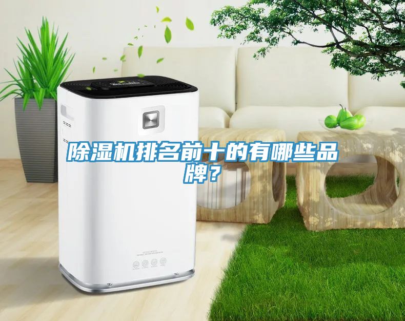 除濕機排名前十的有哪些品牌？