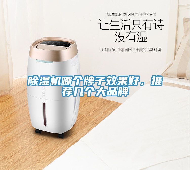 除濕機(jī)哪個(gè)牌子效果好，推薦幾個(gè)大品牌