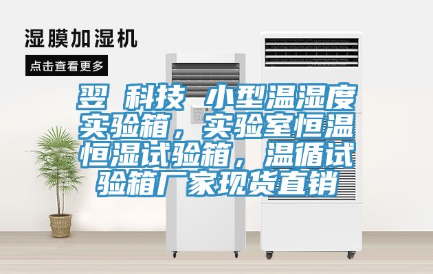 翌昇科技 小型溫濕度實驗箱，實驗室恒溫恒濕試驗箱，溫循試驗箱廠家現(xiàn)貨直銷