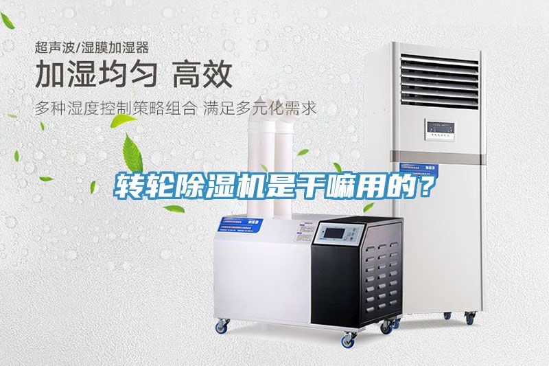轉(zhuǎn)輪除濕機是干嘛用的？