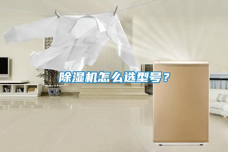 除濕機怎么選型號？