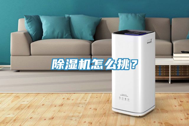除濕機(jī)怎么挑？