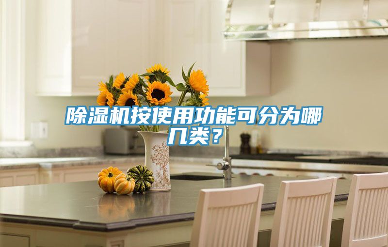 除濕機按使用功能可分為哪幾類？