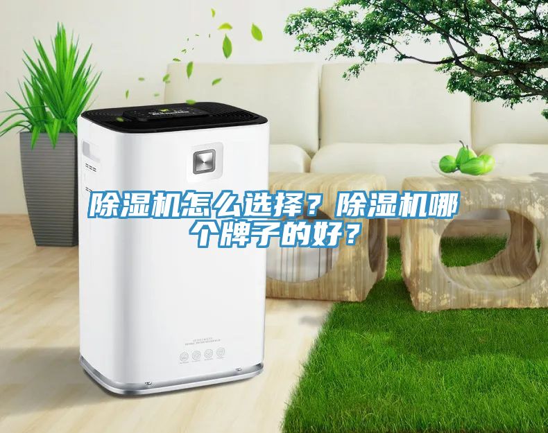 除濕機怎么選擇？除濕機哪個牌子的好？