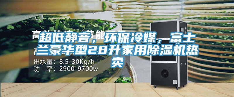 超低靜音，環(huán)保冷媒，富士蘭豪華型28升家用除濕機(jī)熱賣