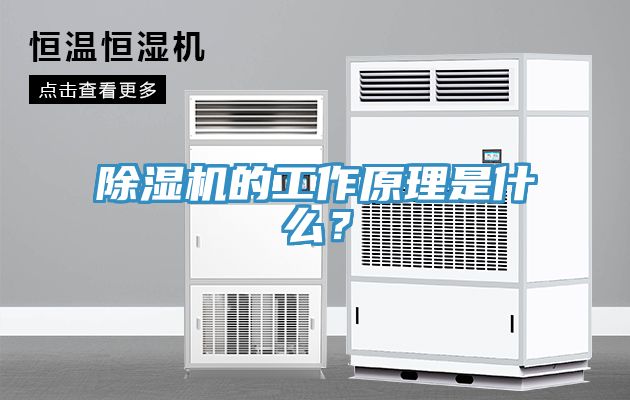 除濕機(jī)的工作原理是什么？