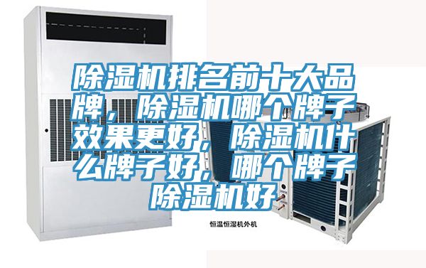 除濕機排名前十大品牌，除濕機哪個牌子效果更好，除濕機什么牌子好，哪個牌子除濕機好