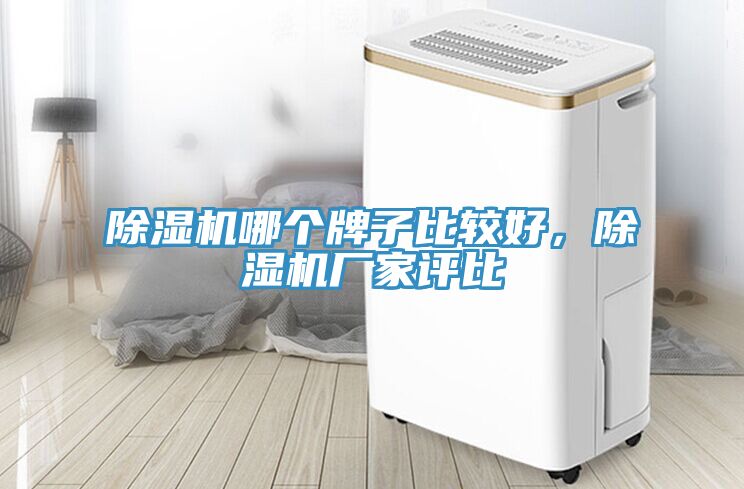 除濕機(jī)哪個(gè)牌子比較好，除濕機(jī)廠家評(píng)比