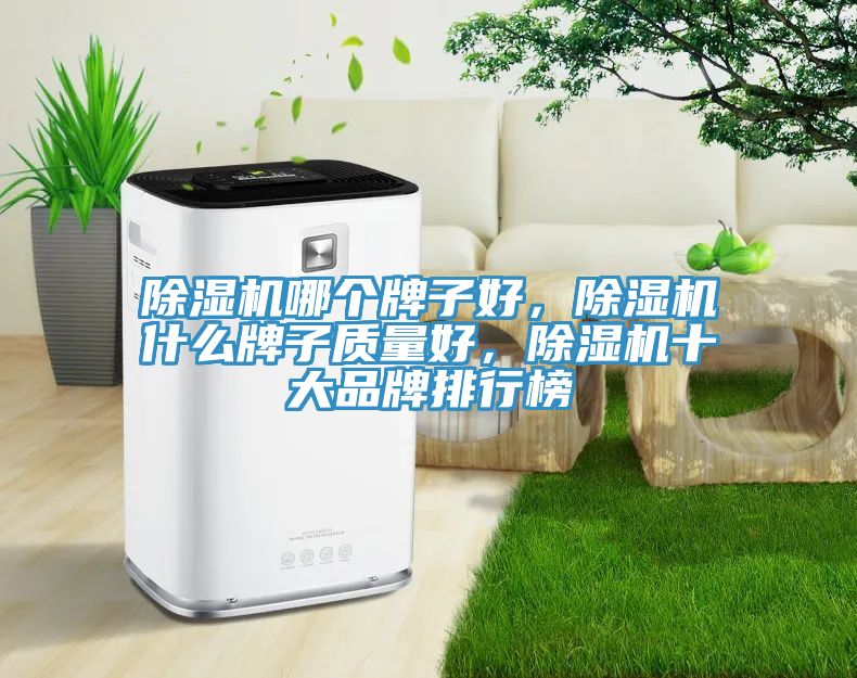 除濕機(jī)哪個牌子好，除濕機(jī)什么牌子質(zhì)量好，除濕機(jī)十大品牌排行榜