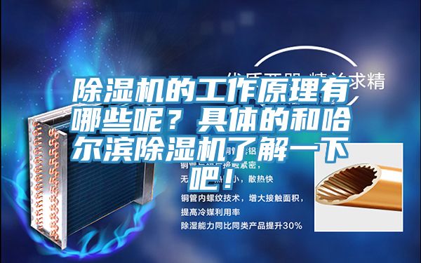 除濕機的工作原理有哪些呢？具體的和哈爾濱除濕機了解一下吧！