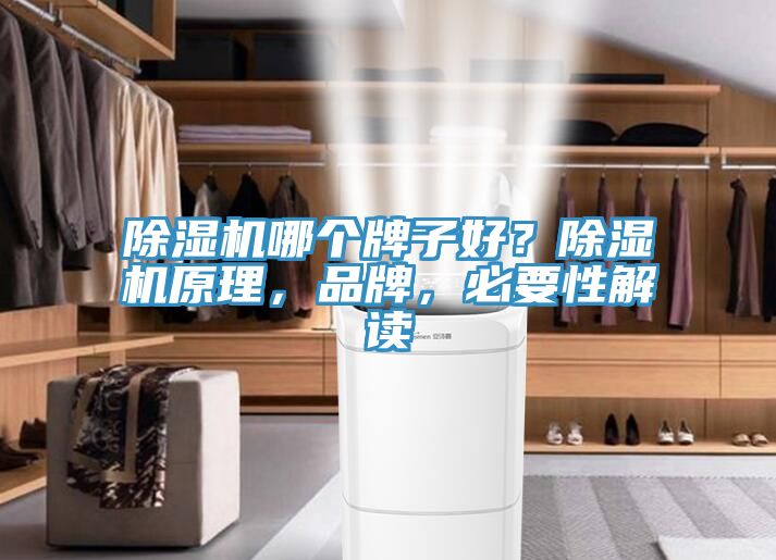 除濕機(jī)哪個牌子好？除濕機(jī)原理，品牌，必要性解讀