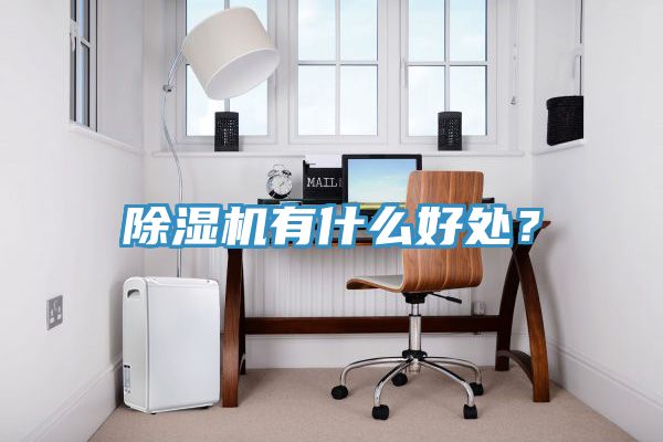 除濕機(jī)有什么好處？