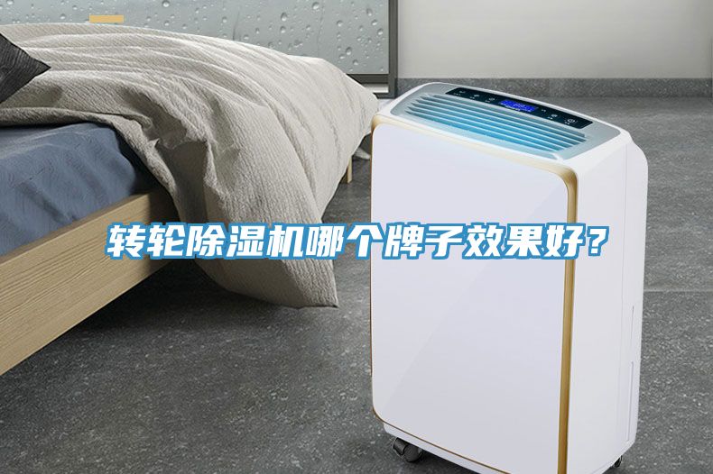 轉(zhuǎn)輪除濕機(jī)哪個牌子效果好？