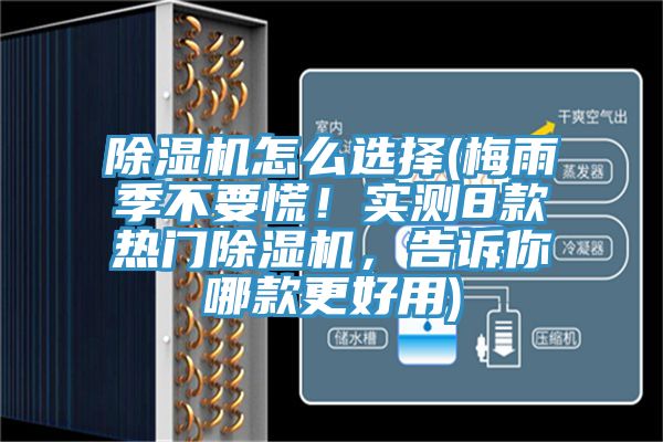 除濕機怎么選擇(梅雨季不要慌！實測8款熱門除濕機，告訴你哪款更好用)