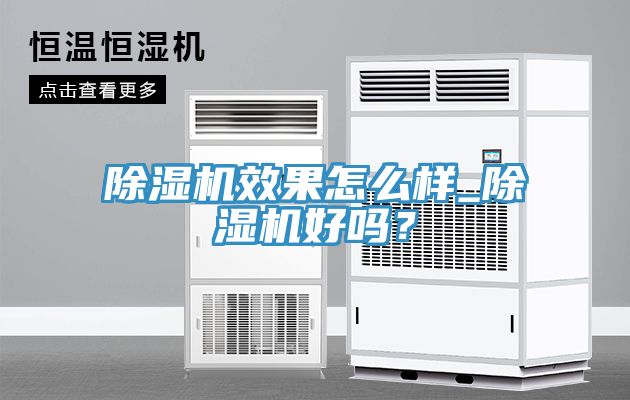 除濕機(jī)效果怎么樣_除濕機(jī)好嗎？