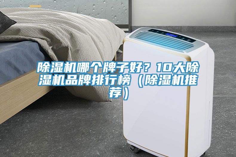 除濕機(jī)哪個牌子好？10大除濕機(jī)品牌排行榜（除濕機(jī)推薦）