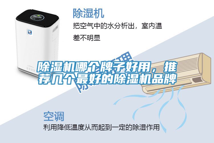 除濕機(jī)哪個(gè)牌子好用，推薦幾個(gè)最好的除濕機(jī)品牌