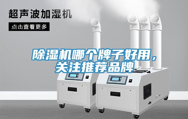 除濕機(jī)哪個(gè)牌子好用，關(guān)注推薦品牌