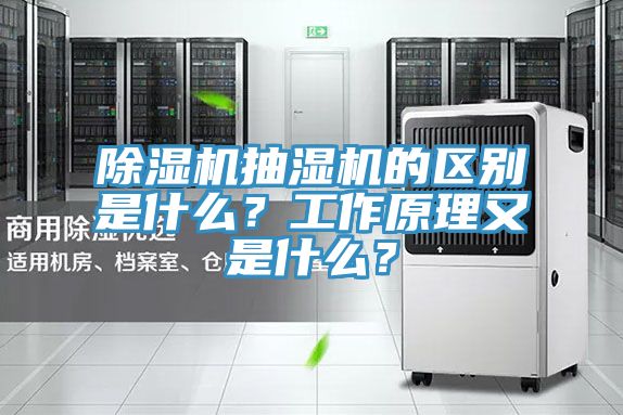 除濕機抽濕機的區(qū)別是什么？工作原理又是什么？