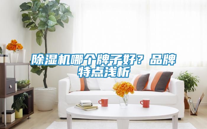 除濕機(jī)哪個牌子好？品牌特點淺析