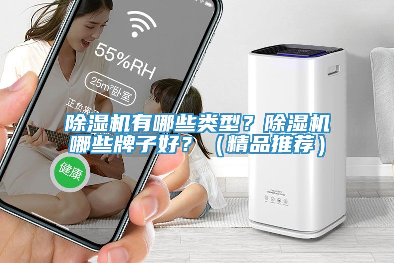 除濕機(jī)有哪些類型？除濕機(jī)哪些牌子好？（精品推薦）