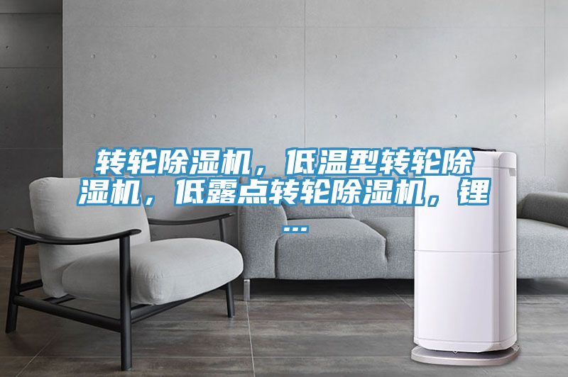 轉輪除濕機，低溫型轉輪除濕機，低露點轉輪除濕機，鋰 ...