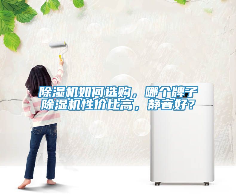 除濕機如何選購，哪個牌子除濕機性價比高，靜音好？